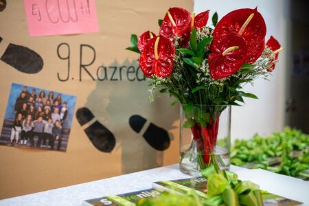 Župan sprejel najuspešnejše učenke in učence osnovnih in glasbenih šol v občini 2